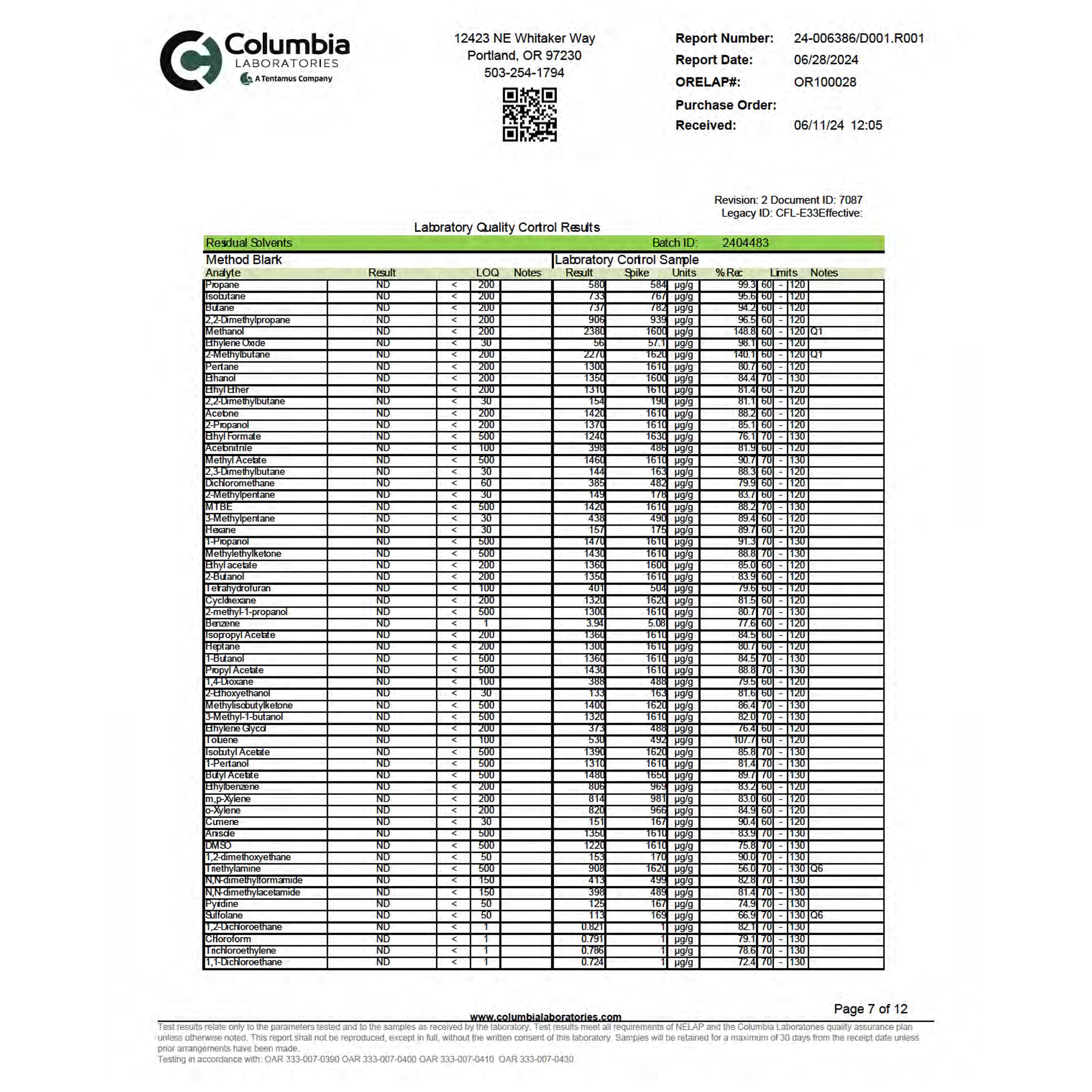Wyld | Playful Delta-9 THC Gummies 10mg (Hybrid) - Huckleberry